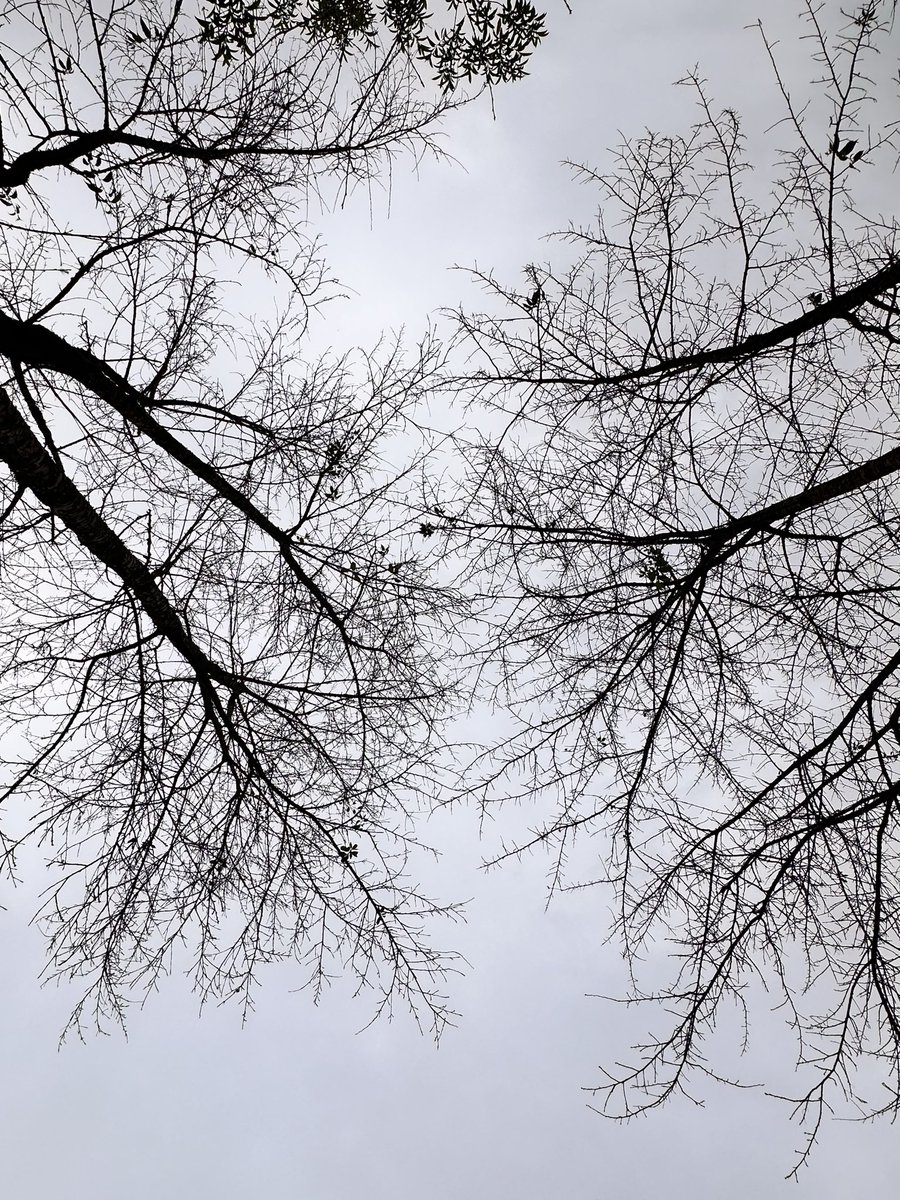 Wintry days are in!!