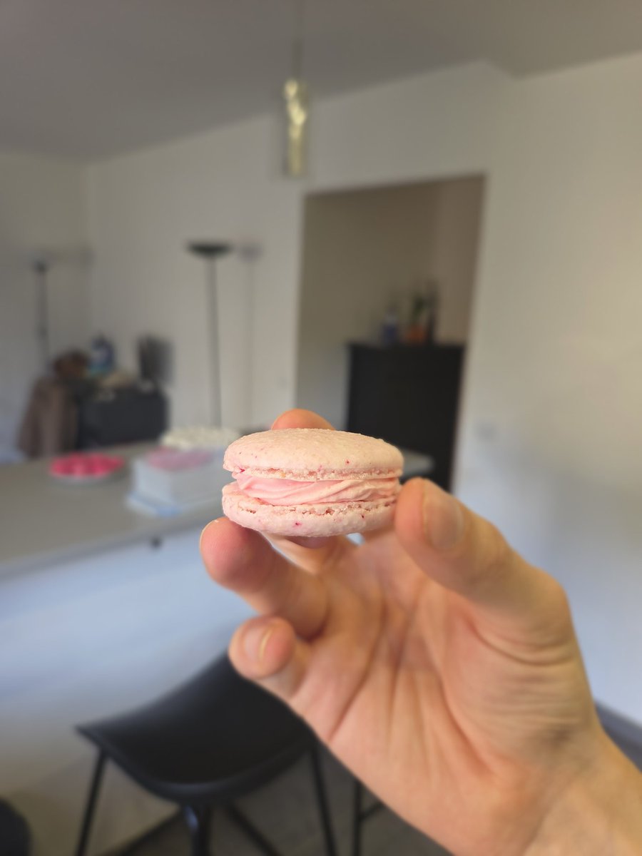 AriBdti's tweet photo. Des petits macarons 🐧 https://t.co/LoAwX7y3B9