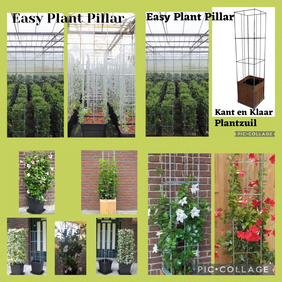 KlimplantenAmsterdam tweet media