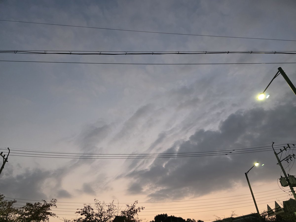 스트 (@maplepantom) on Twitter photo 