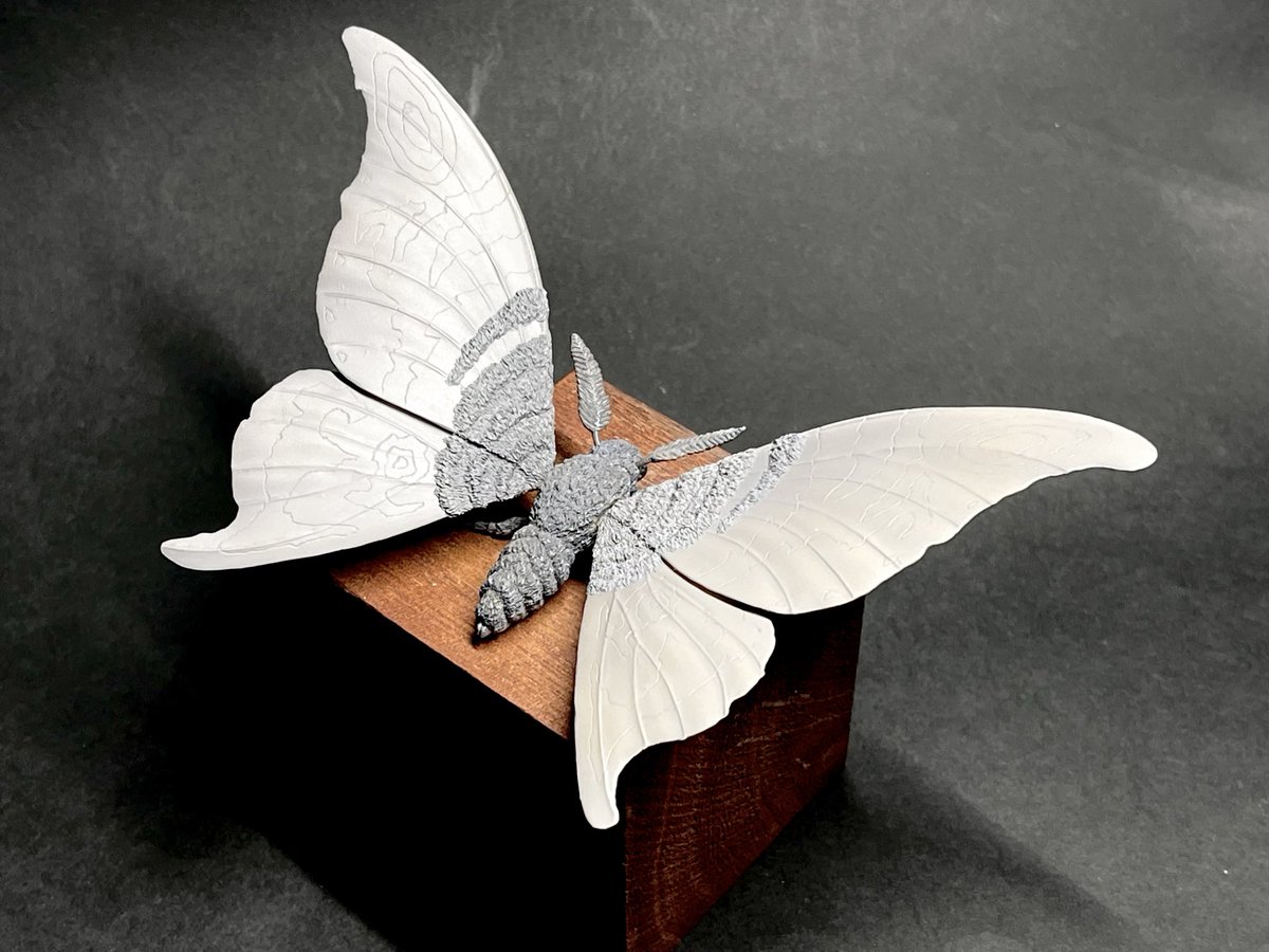 モスラのオーダーページ モスラのオーダーページ Amazon.co.jp: キャラクターコンテンツ