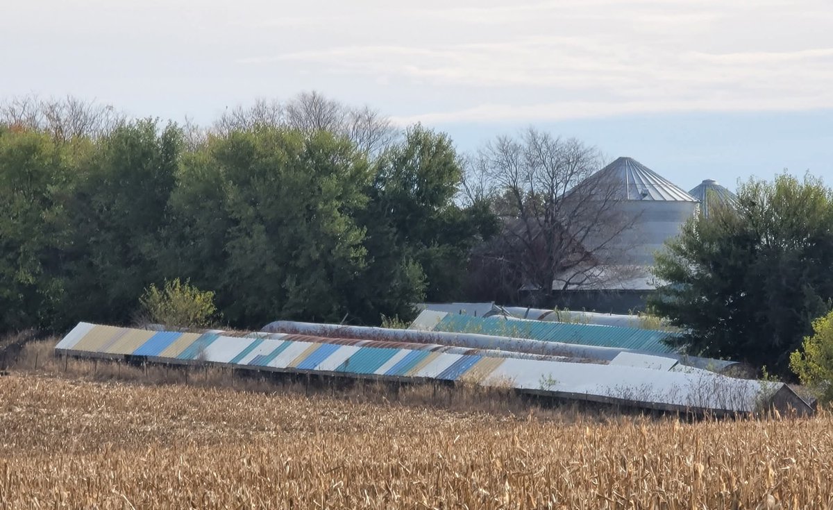 2,000 mink liberated from Tremel Mink Farm (pictured) in Woodbine, IA by anonymous activists last week. The farm is one of 69 mink farms still operating in the U.S.