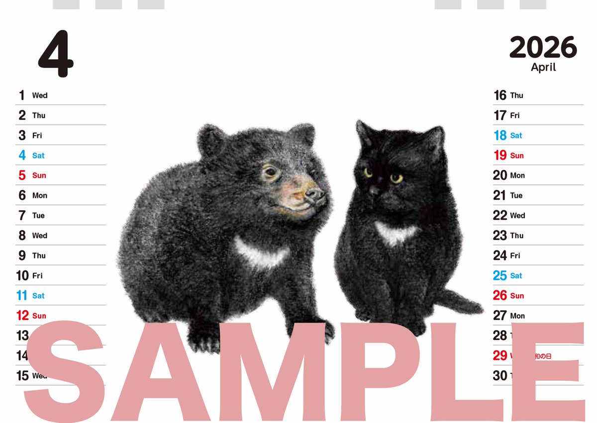 tsushimacat's tweet photo. や、どうも。
来年のカレンダ、いまデザイナーさんにデザインしてもらっていて、11月げじゅんからキャツミャウブクスさんで売ってもらうよていです。
俺からのねんがじょうというか、切手貼ればねんがじょうにもなる、うまどしっぽいポストカードつきです（デザインは変わるよ）
またほうこくするね。 https://t.co/41dZHFkqmQ