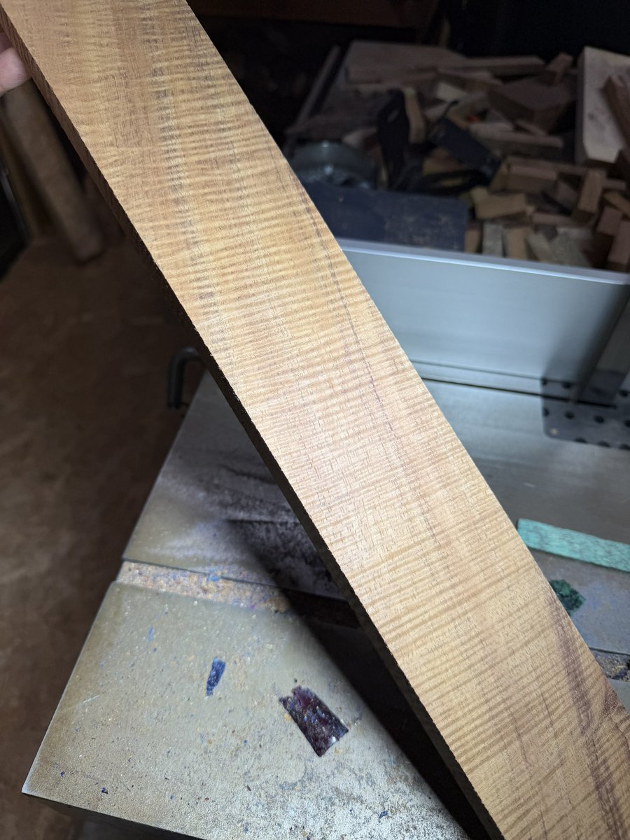 こぶた工房 (@kobutakoubou11) / Posts / X