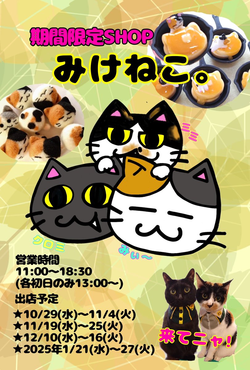 みけねこ。 (@mike_myi) / Posts / X