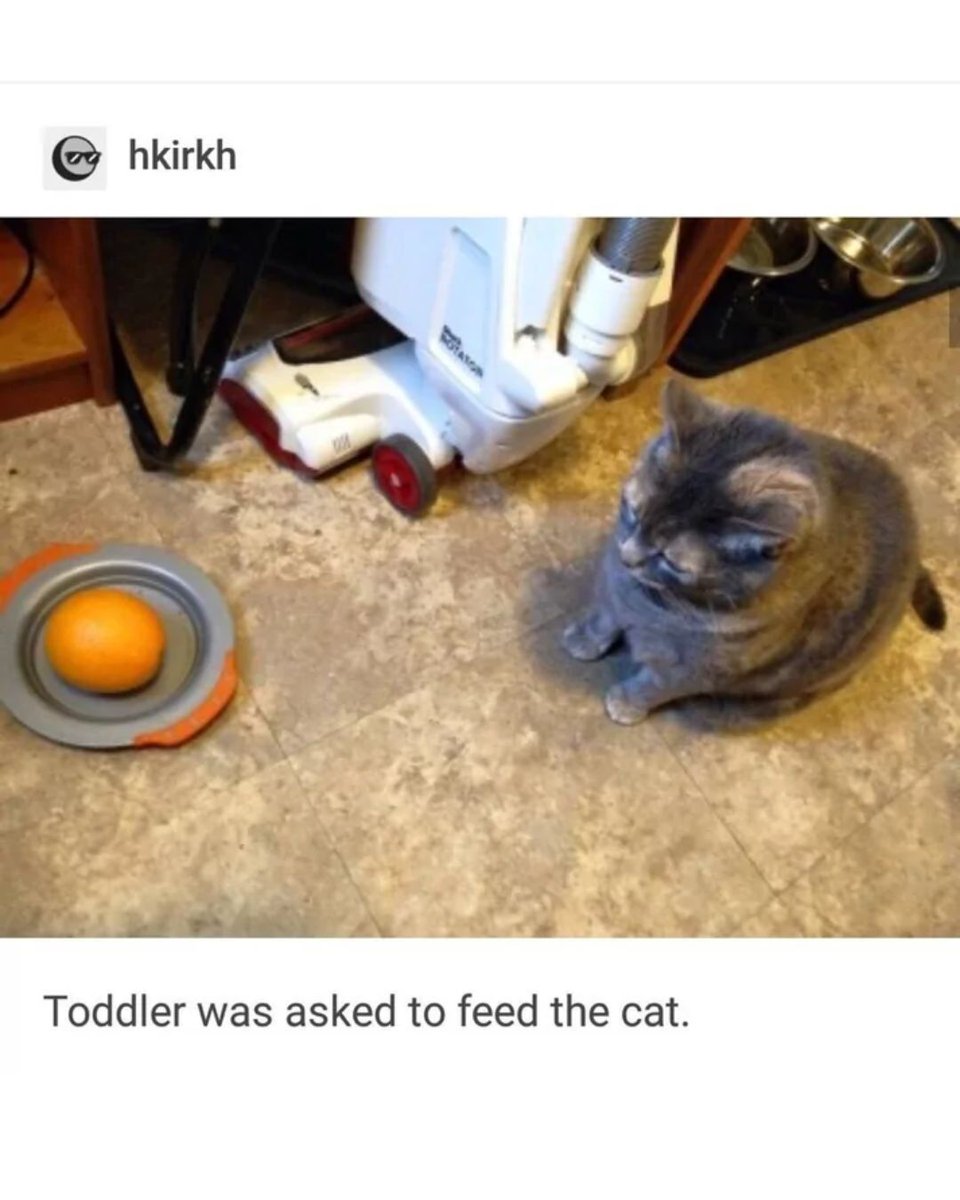 Memedroid's tweet image. Well now, eat #cat #memes #toddler #sad #funny