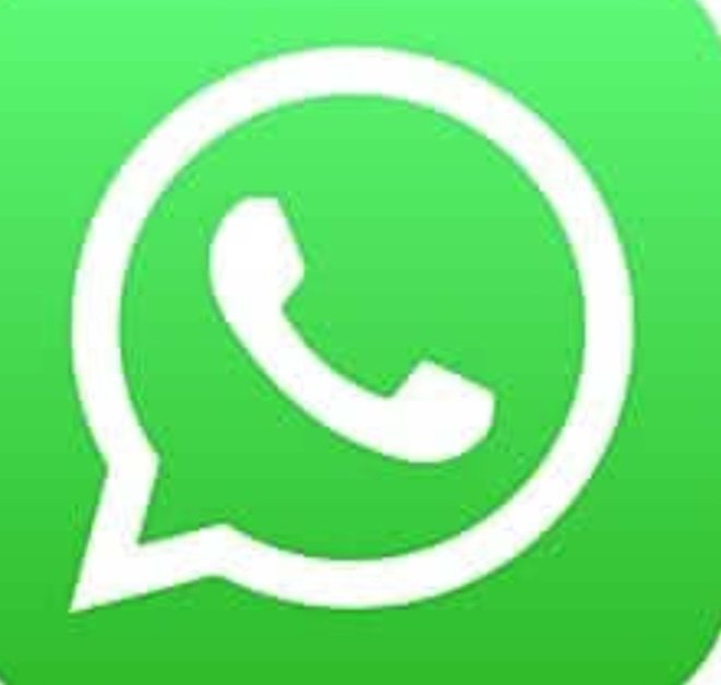 Patrick Kabengele tweet media