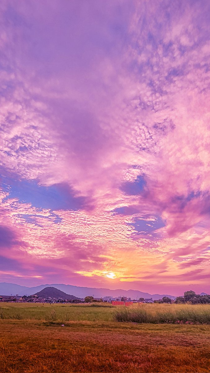 Sorani___Ao's tweet image. いつか見た夕焼けは
あんなに綺麗だったのに。