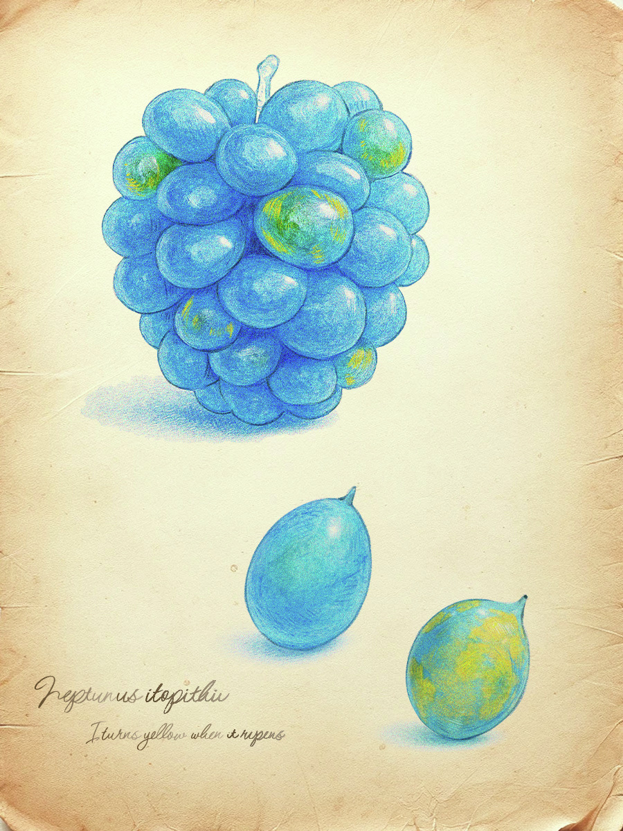 ＊カンロページになります＊ カンロ公式 (@kanro_pr) / Posts / X