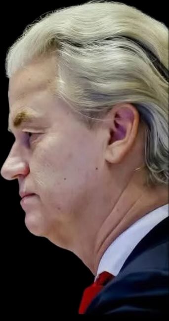 Sandra_van_Dam1's tweet image. Als u morgen in het stemhokje staat, zit Geert Wilders bijna 10.000 dagen in de Tweede Kamer. 27 jaar! Hij is de 7de keer lijsttrekker voor de PVV.
In die tijd heeft hij niets voor u, voor zijn kiezers en voor Nederland gedaan. 

Stem daarom op een andere partij.