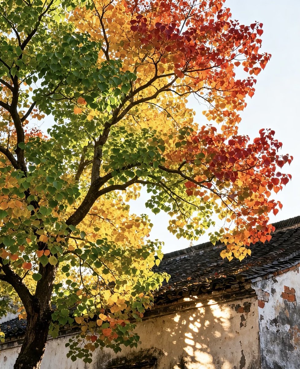 大自然的调色盘