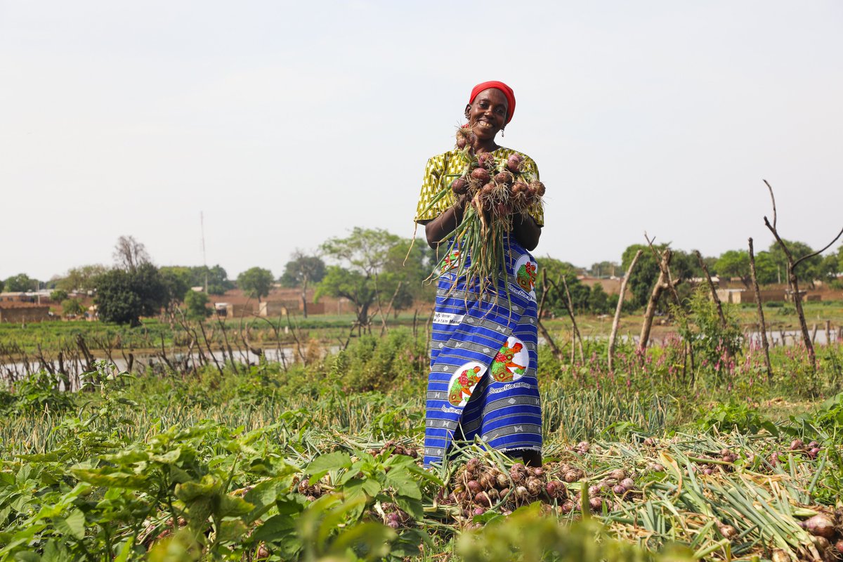 WFP_Cotedivoire's tweet photo. Un programme, plusieurs bénéfices:​
👧 Des enfants qui apprennent mieux​
💪 Une santé renforcée​
🌾 Une économie locale dynamisée​
Les programmes d’#AlimentationScolaire renforcent le capital humain et bâtissent des communautés plus résilientes. https://t.co/NWc3ont0OL