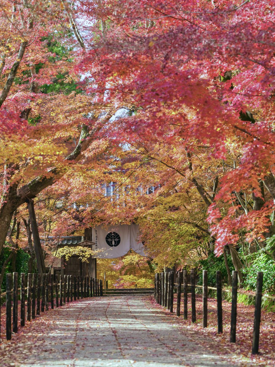日本の秋・厳選風景16年【 風景写真 9-10月号 2007〜2022