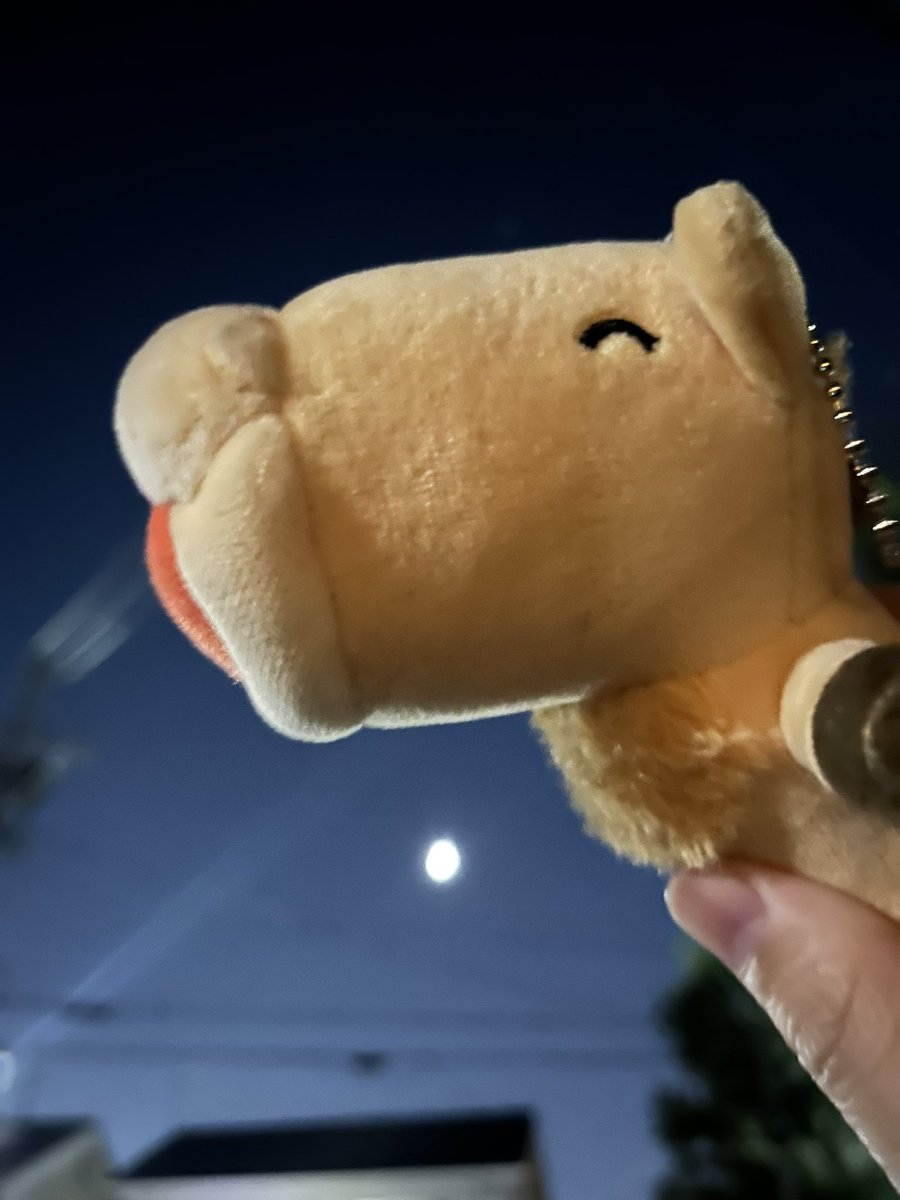 【ウマゴンと一緒】

ウマゴンと一緒にいると、肌寒くてもなんだかあったかい気持ちになれます😳