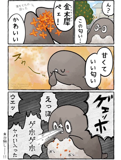 金木犀を吸ったアデリーペンギン 