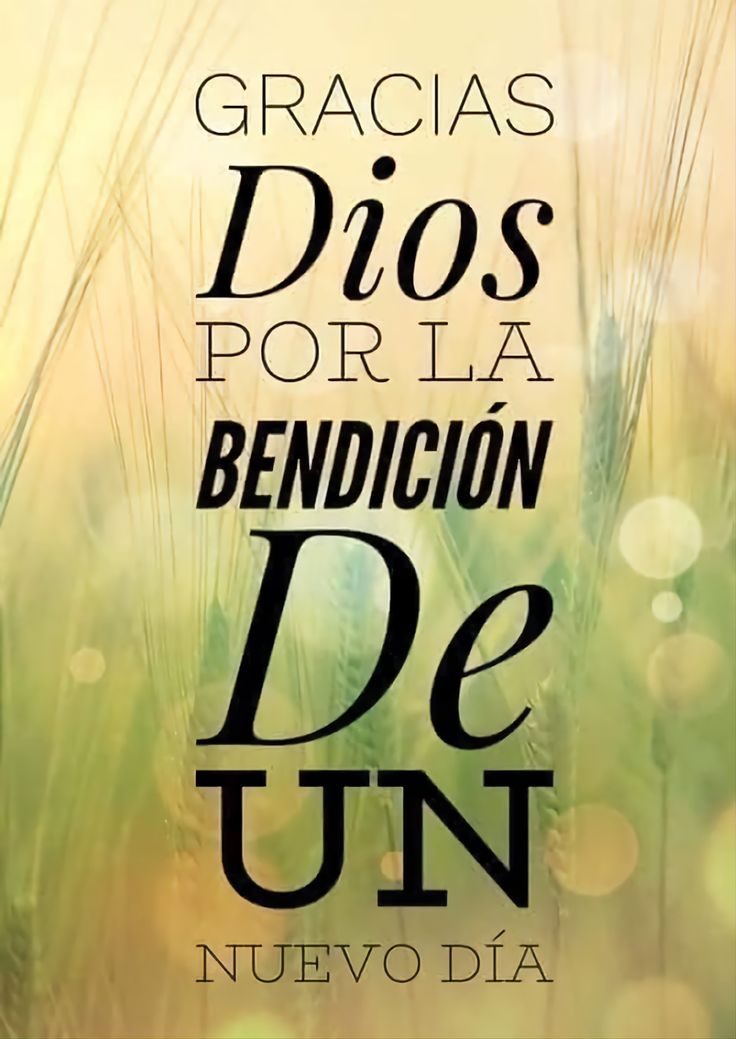 🌼Martes 🌸
🧡 Gracias Dios, por
🧡 guiar nuestros pasos,
🧡fortalecer nuestro espíritu
🧡y brindarnos esperanza
🧡     y fortaleza para 🌼
🧡        seguir adelante.
 🧡 Gracias, gracias, gracias.
#FelizDíaAmigos 🌼🧡🌼🧡
