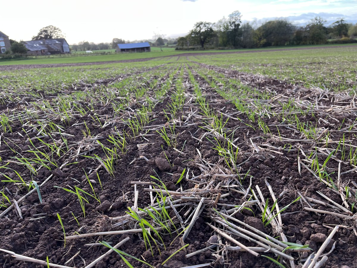 Gareth Bubb tweet media