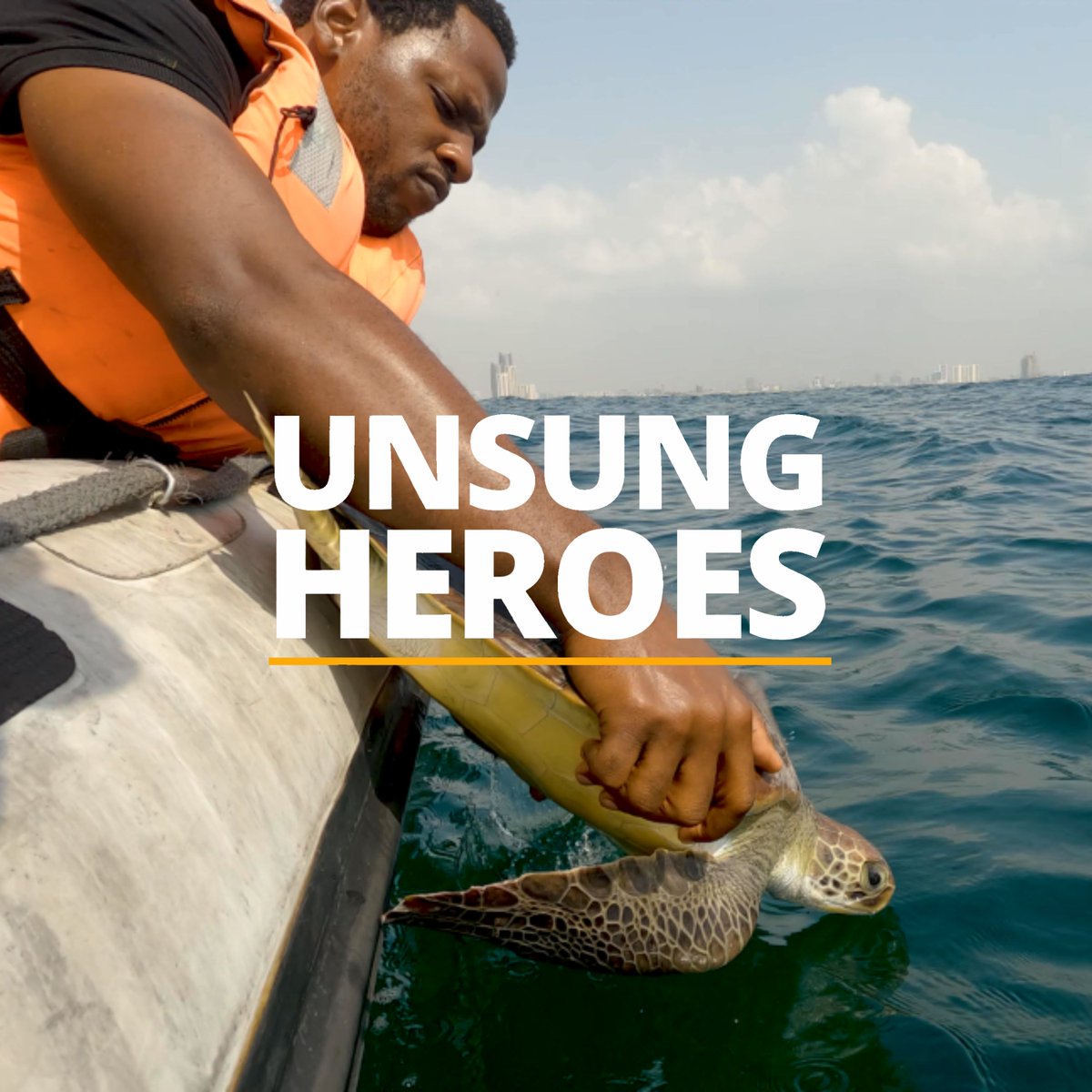 Wild Africa tweet media