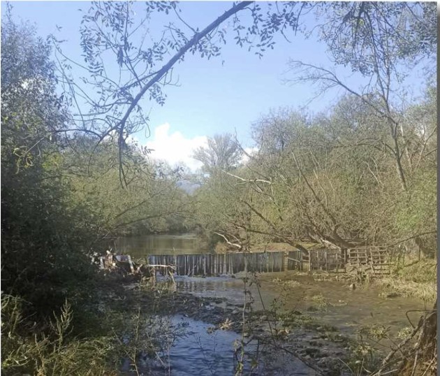Foto cedida por Jarama Vivo