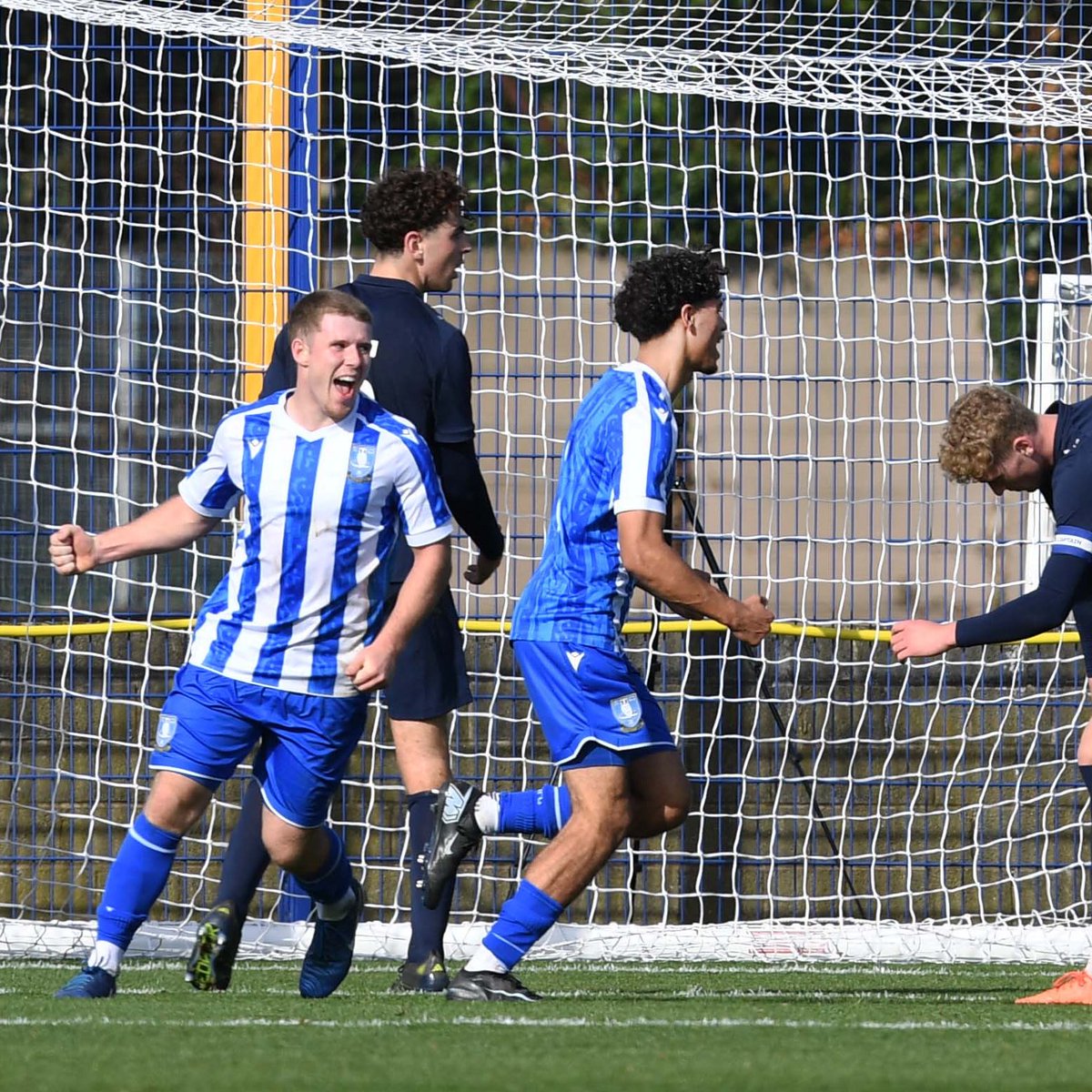 Sheffield Wednesday tweet media