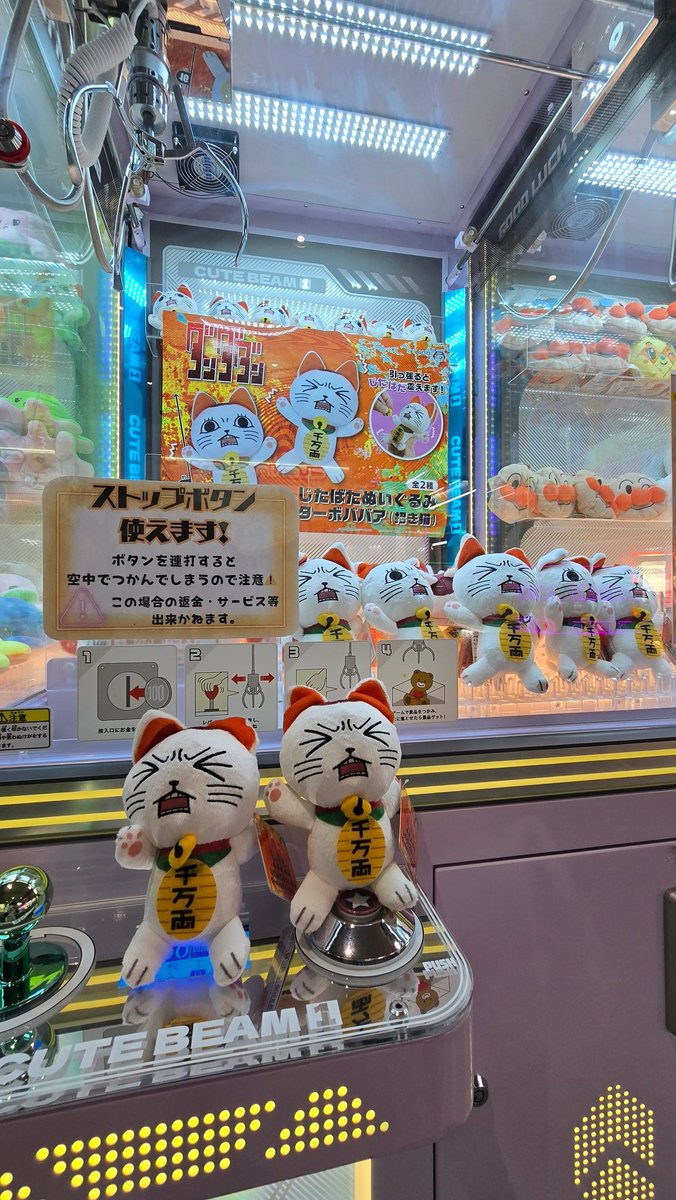 いわっち。🍋🦖🍟🐶🐢💰 (@iwa_chi822) / Posts / X