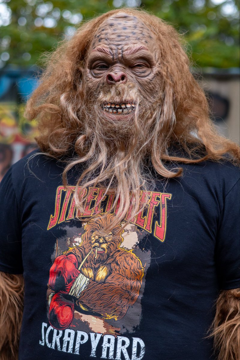 ✨Chandra🌙🌒 tweet media