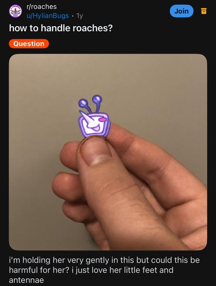 pee__piss's tweet photo. i need to kill him
#deltarune #tenna https://t.co/3qnuKJAHT0