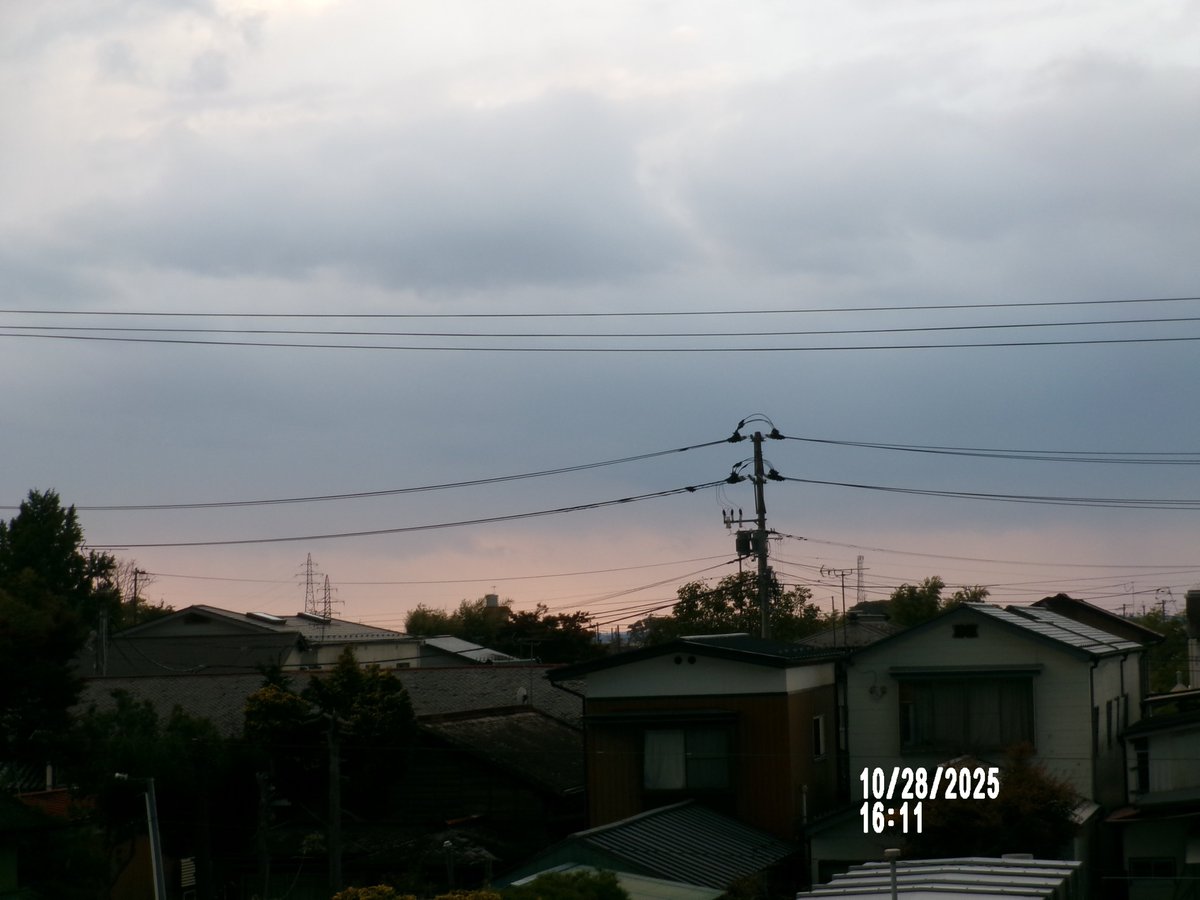 のりちゃん2 on X