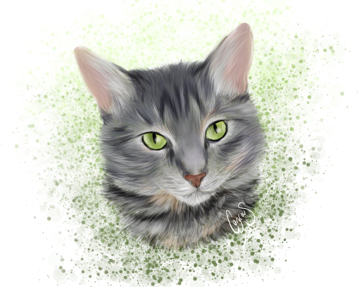 CorgeousStudios's tweet photo. More recent commission, really pleased as to how the cat fur came out. Eyes are always my favorite part of these commissions, had a really good bright-light reference for this feline.

#Commission #Custom #Portrait #PetPortrait #Cat #VGenCode #CatPortrait #DigitalArt #Artwork https://t.co/hKRA1E3X6i