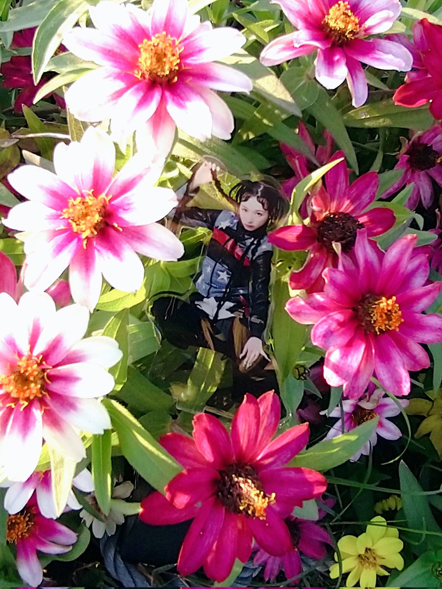 きょうかです❣️ えにちん on X