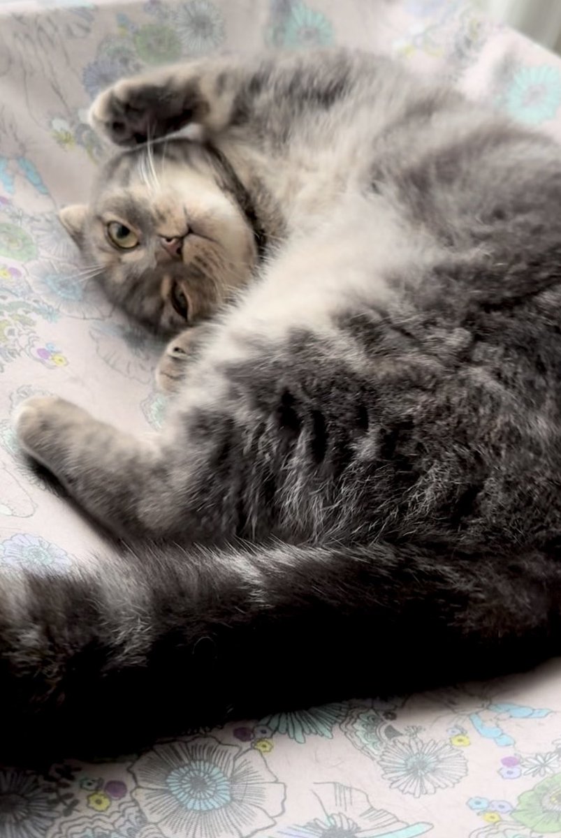 momi (@tomomi8momi) / Posts / X