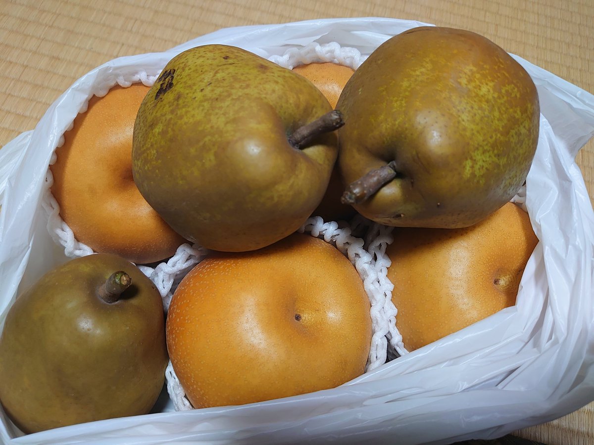 Fフランス軍＊1971年＊採石場産業/建設資材＊功績ブロンズメダル（