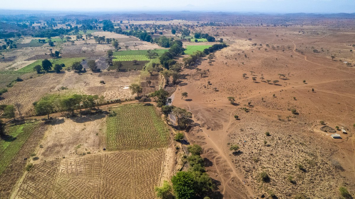 So excited to have one of my photos as a finalist for the <a href="/CIFOR_ICRAF/">CIFOR-ICRAF</a> Photo Competition 2025.

Voting is ongoing here 🙏 photocompetition25.cifor-icraf.org/photo-submissi…