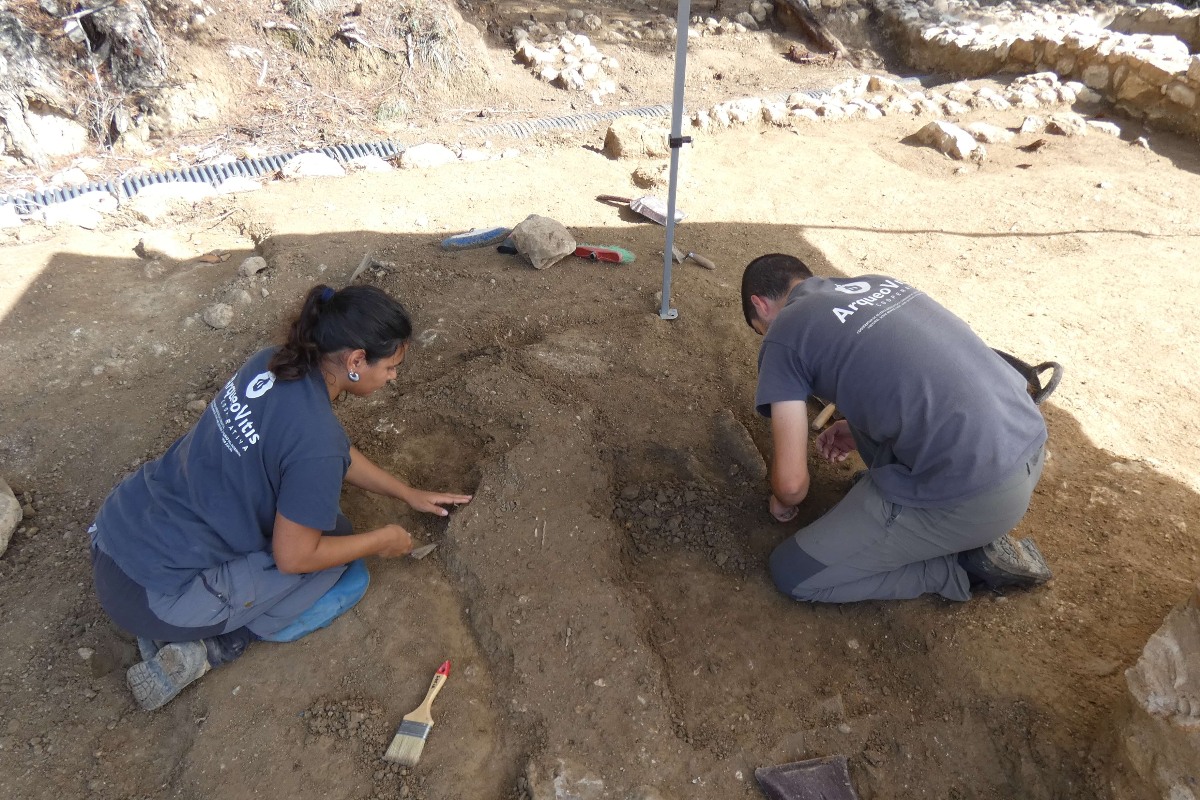 Coopsetània tweet media