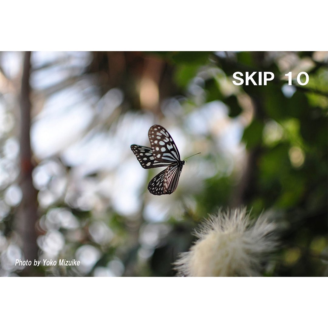 ハコ＠さすらう落とし物たちの写真集「のら」発売中