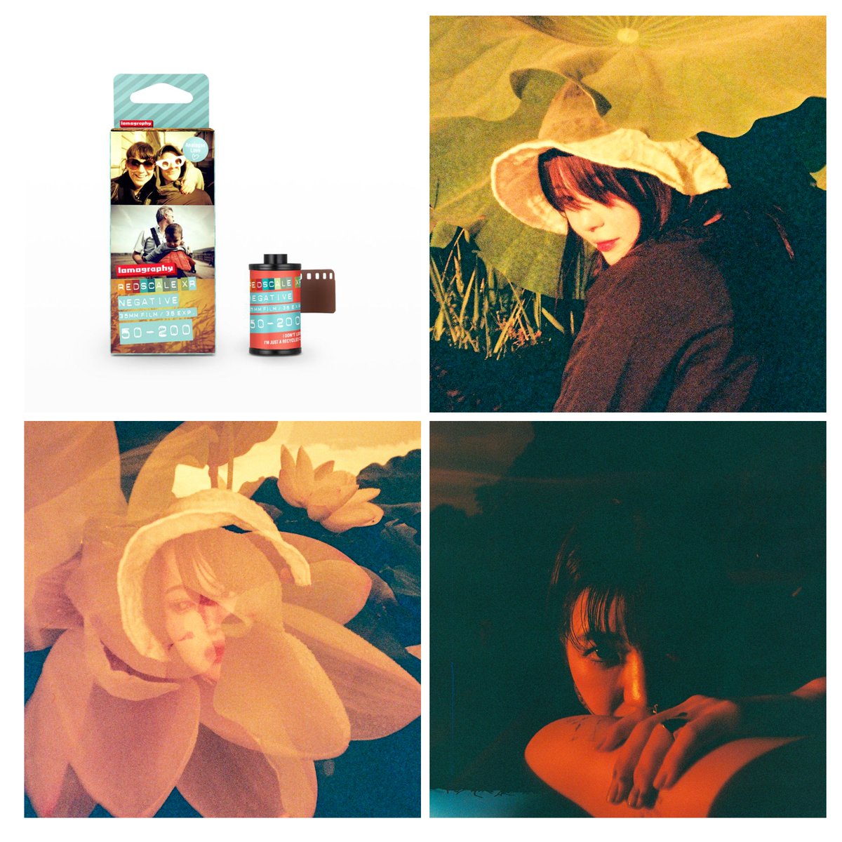 八百富写真機店 店舗公式 on X