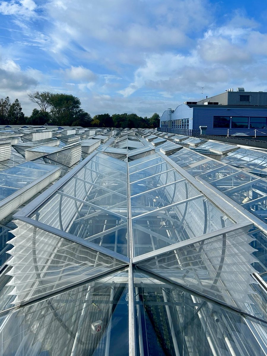 #Insectengaas op maat! 🙌 Bij <a href="/RijkZwaan/">Rijk Zwaan</a> hebben we de insectengaassystemen van gerenoveerd. Een uitdagende klus, want de luchtramen variëren van 2,5 tot wel 9 meter breed. Onze precisie en #maatwerk maakten het verschil: elk raam is nu weer volledig insectdicht! 💪