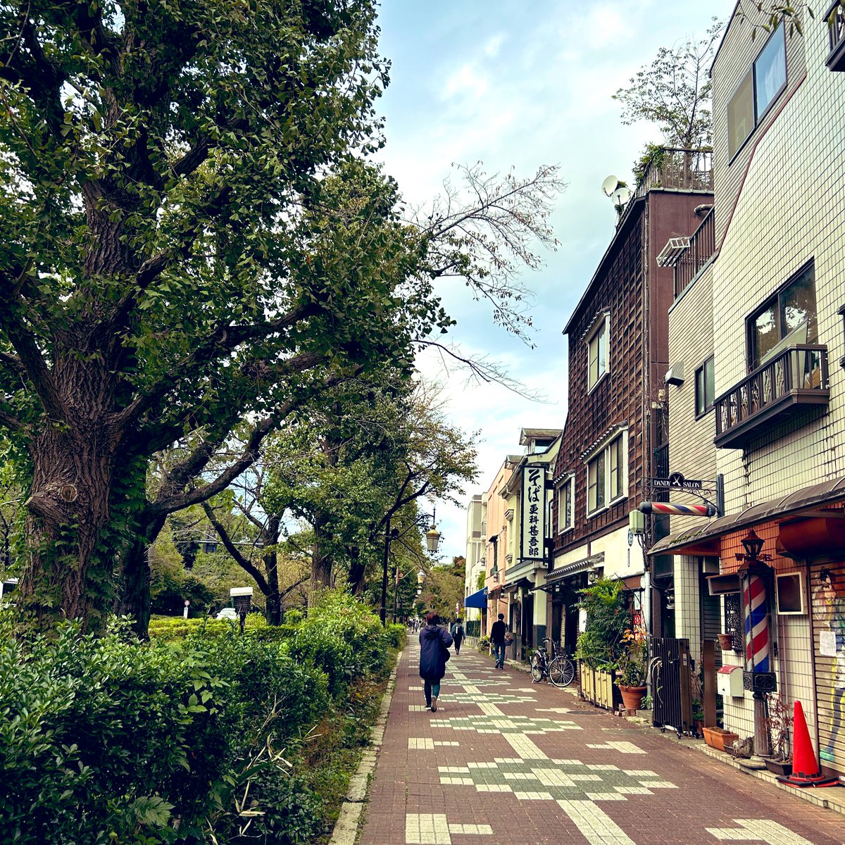 今日はもうじき閉園してしまう三鷹の幼稚園で『三びきのやぎのガラガラドン』🐐🐐🐐良い子たちだったなあ

久しぶりに晴れた日
終わるのがもったいなく、夕方国立の大学通りをジョギング
明日もよき日にしよう

#本日人生レベル32にアップしました
#ビルゲイツとジュリアロバーツも誕生日おめでとう