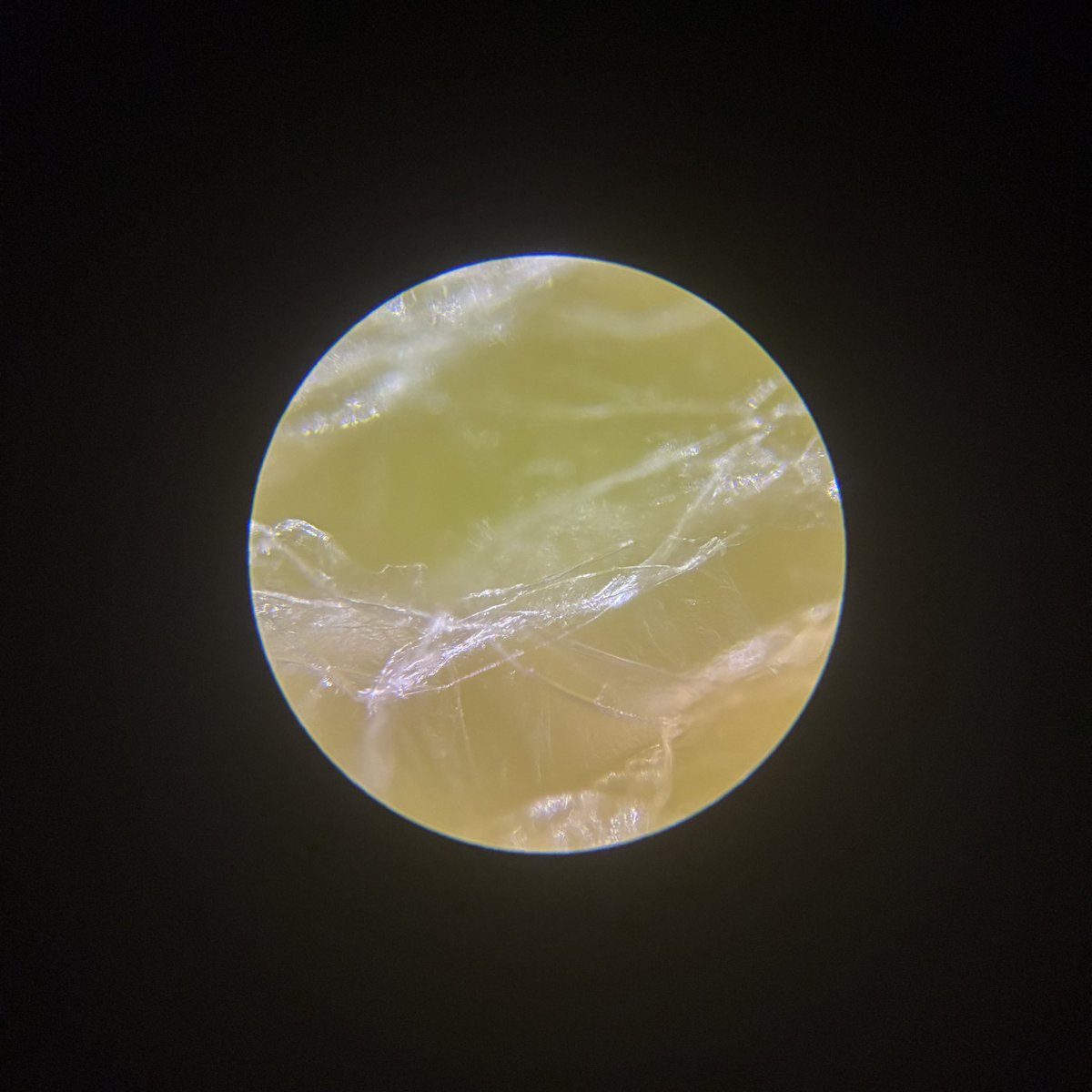 micro_planets's tweet image. #microplanets #microscope #planet #art #スターフルーツ #star_fruit #沖縄 #okinawa #tropicalfruit 
星の果実の中に存在する小さな惑星。