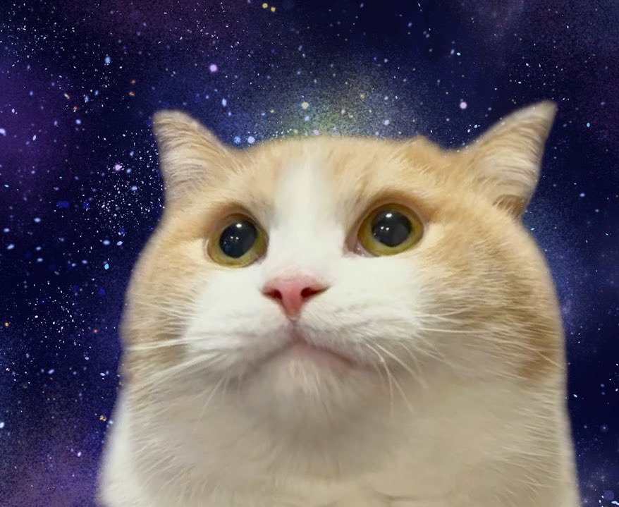 挨拶無しでもOKです あき◢͟￨ on X