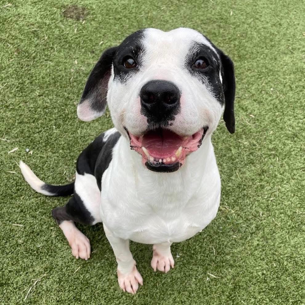 LoneStarChica's tweet image. Good Morning from Texas! Smile 😃