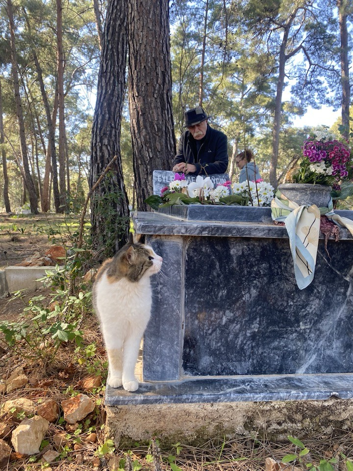 orhanaydin6's tweet photo. Canım Kiraz Çiçeğim... mevsim hazan şimdi... sen bir baharları severdin bir de yaprakların,  ağaçların, çiçeklerin hüzünlendiği zamanları... sincaplar ağaç kovuklarından, kuşlar çam dallarının arasından izliyor seni... kedi seninle….kozalakların arasından duyduğun iç çekip inleyen ses benim sesim...ellerim soğuk... kızıl saçlarına dokundukça üşüyorum…umudum benim...çık gel hazan bahar olsun…ne olur...ne olur…