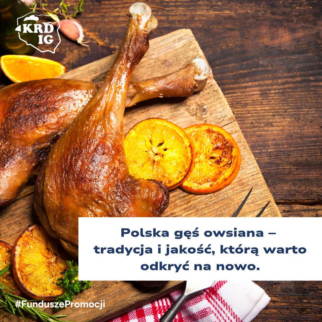 Polska Gęś Owsiana to produkt unikalny w skali Europy. Jej wyjątkowość wynika z tradycyjnego systemu chowu – w końcowym etapie gęsi tuczone są owsem, co nadaje mięsu:
- delikatny smak,
- wyjątkową soczystość,
- korzystny profil tłuszczowy z dużą zawartością nienasyconych kwasów.