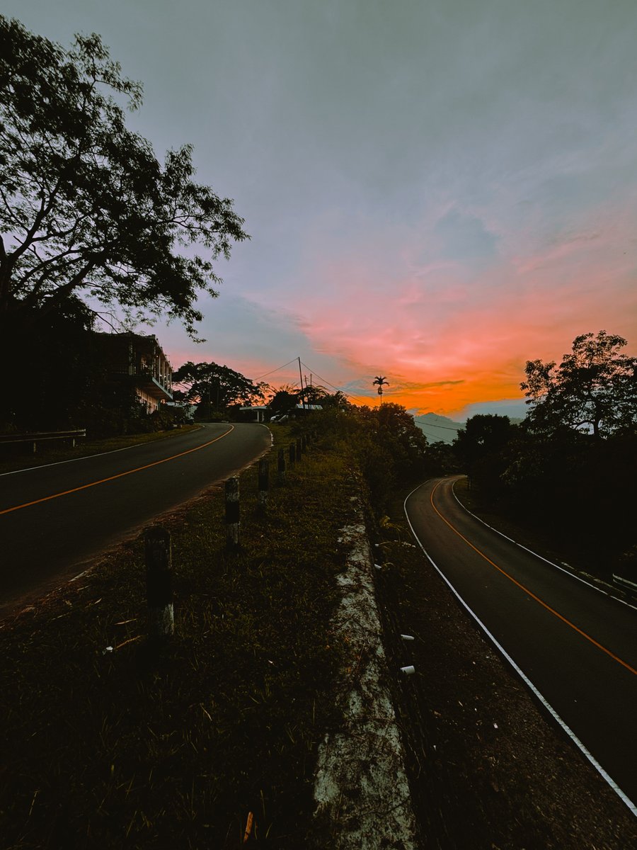 davdavega's tweet image. 