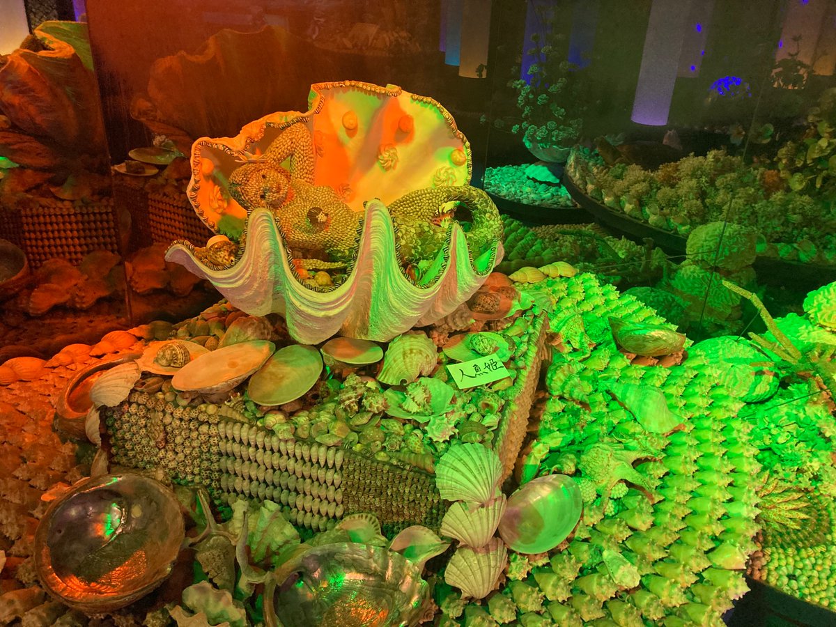 しめじページ しめじ on X