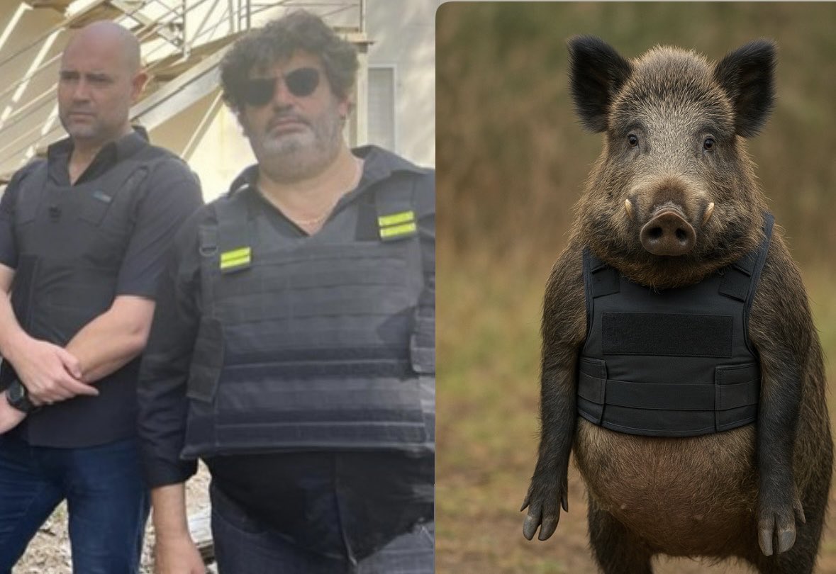 abdelmalik92's tweet image. T’as traité la population Palestinienne de cancer donc on va pas se gêner halouf