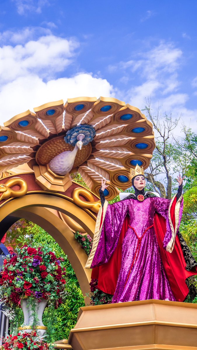 sdievx_p's tweet image. 🏷️Tag
♡or↻で気になった方お迎えいきます
Xでもd垢始めました！
#twitter上にいるDヲタ全員と繋がるのが密かな夢だったりするのでとりあえずこれを見たDヲタはRTもしくはフォローしていただけると全力でフォローしに行きます 
#Dオタさんと繋がりたい #ディズニー好きな人と繋がりたい