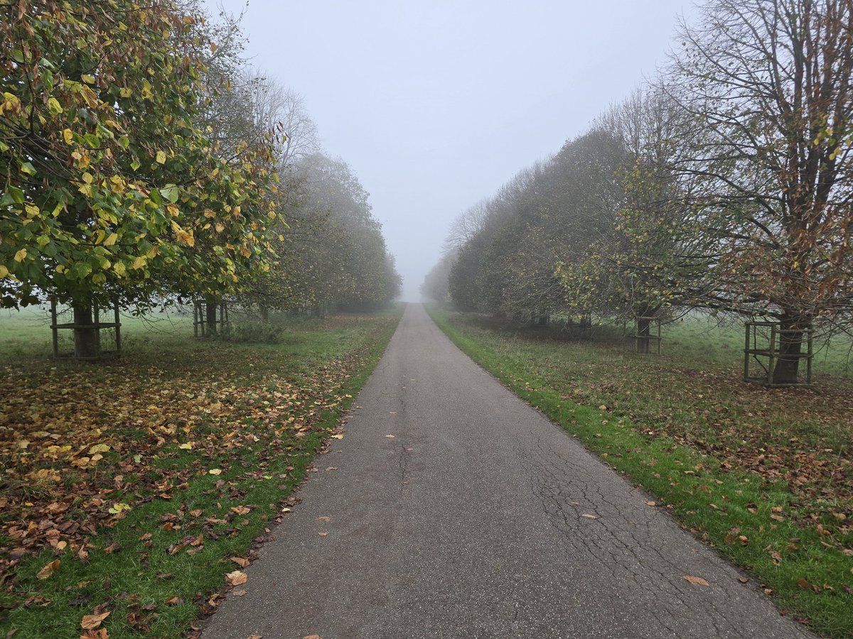 A prayer this morning for all who are waiting, all who are invested in the future &amp; finding it hard not to see its exact definition through the mists. May the God of love and patience abide with you and hold you fast in the winding paths of life.