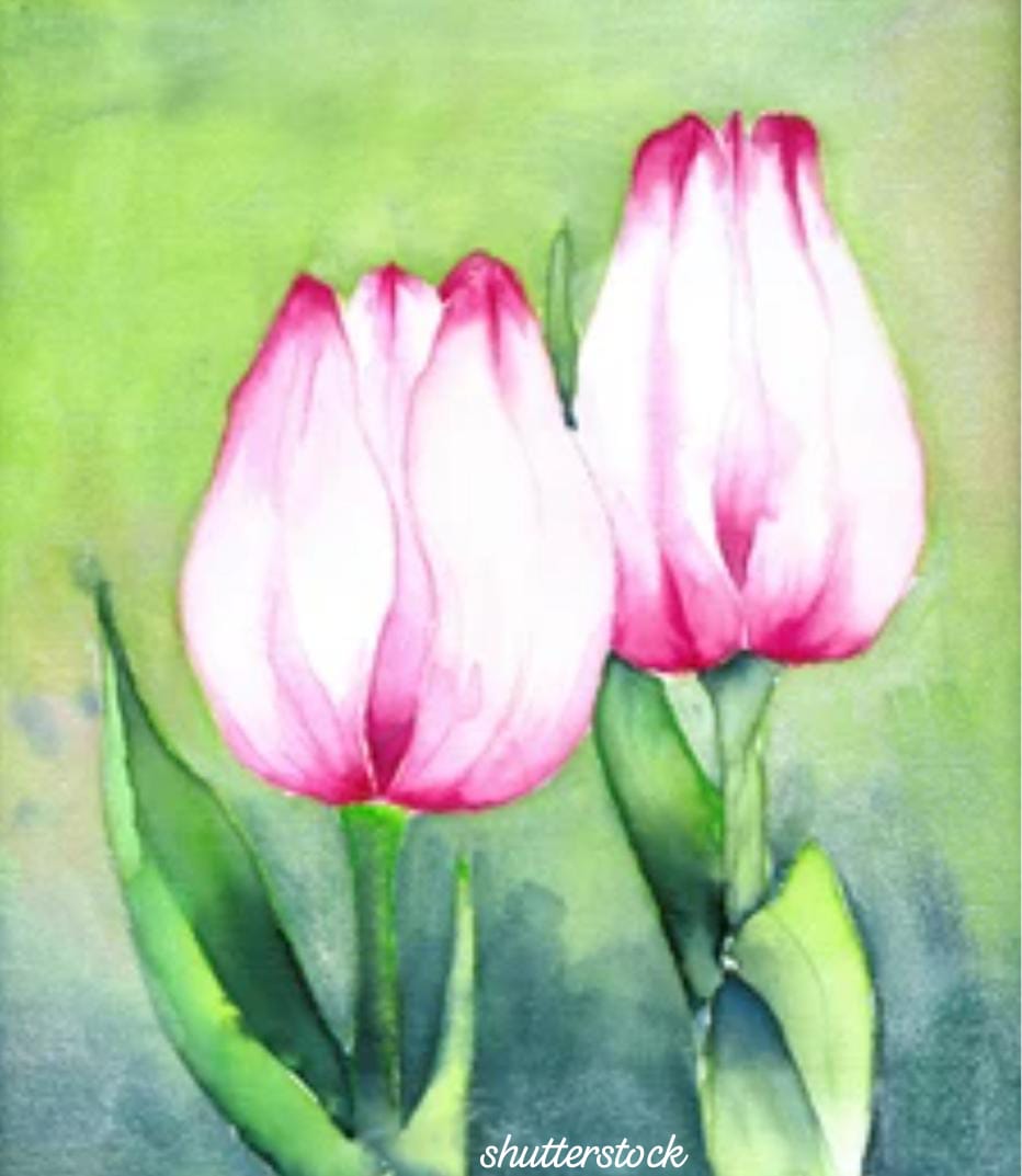 Truthvibeswrite's tweet image. Smile &amp;amp;sobs
Perfect pulse throbs
Keep her going
She makes a mark
Each step a benchmark
Wolf in disguise
Demon #experiments
fail before her
Muscles money&apos;re trash
Passions end in ash
in sips of togetherness
Tulips bloom
Love outlives edge of doom

#vss365
#FoxProse
#fairytalepoets