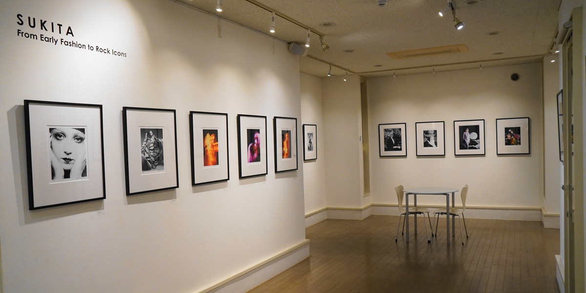 petsrock ペッツロック　デビッドボウイ絵画　原画 数百円で購入したデヴィッド・ボウイの絵画、約1000万円で落札